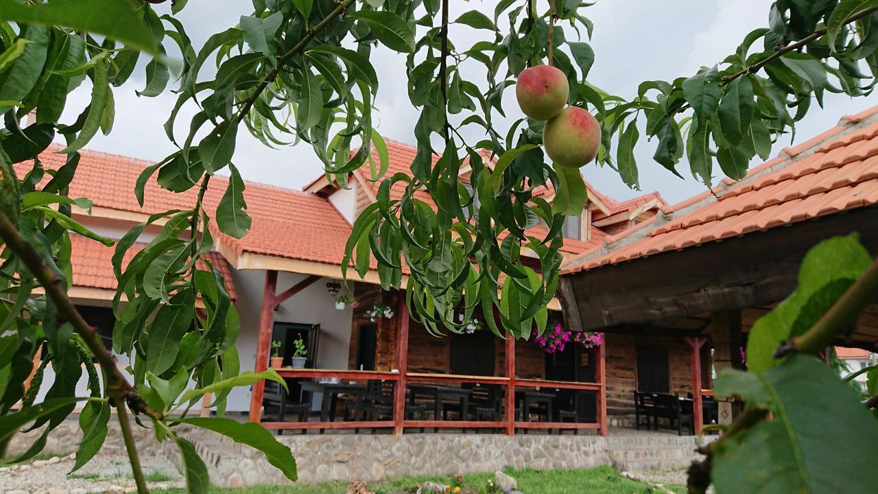 Satul Traditional Villa Runcu  Exterior photo